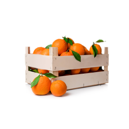 10 كيلو برتقال عصير