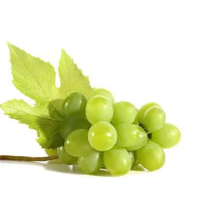 RAISIN BLANC - عنب أبيض