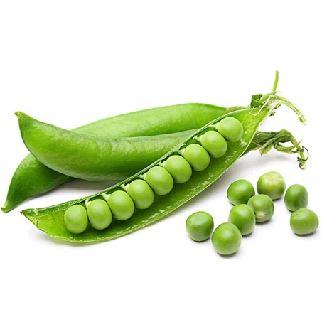 PETITS POIS - جلبانة