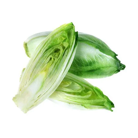 ENDIVES - انديف