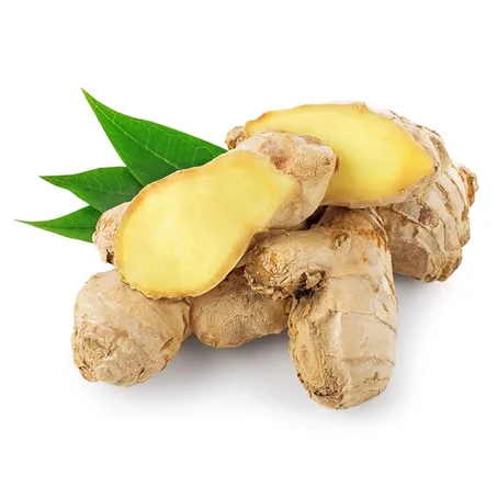 GINGEMBRE - سكينجبير