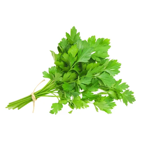 PERSIL - معدنوس