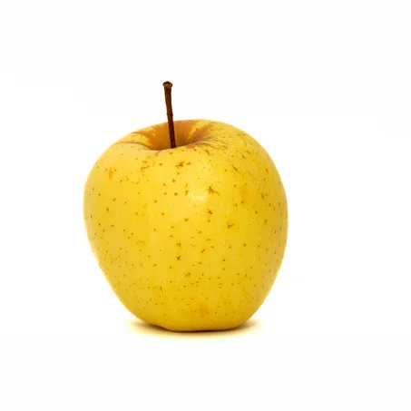 POMME A JUS -تفاح العصير