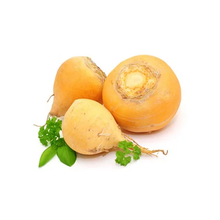 NAVET JAUNE -لفت اصفر