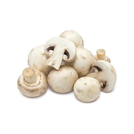 CHAMPIGNON BLANC -فطر أبيض