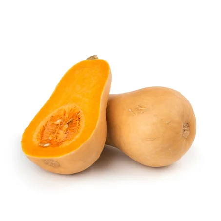 COURGE BUTTERNUT - يقطينة طويلة