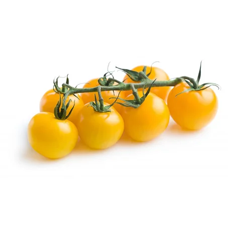 TOMATE CERISE JAUNE