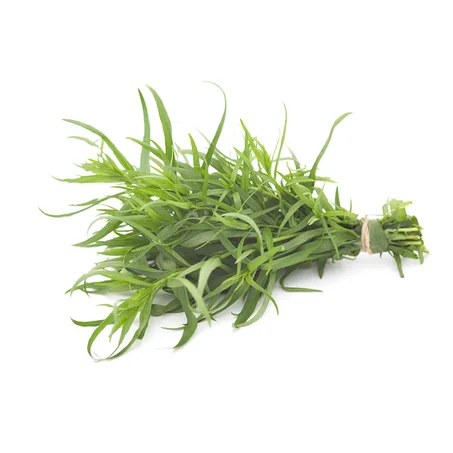 ESTRAGON - استراجون