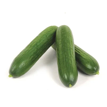 CONCOMBRE - خيار