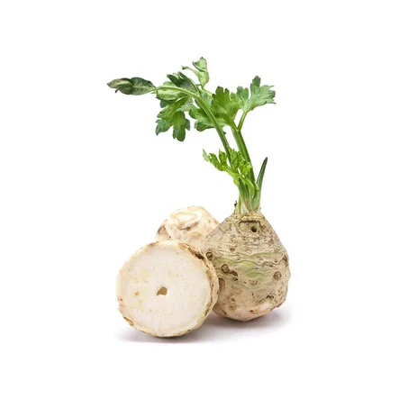 CELERI RAVE -جدر الكرافس