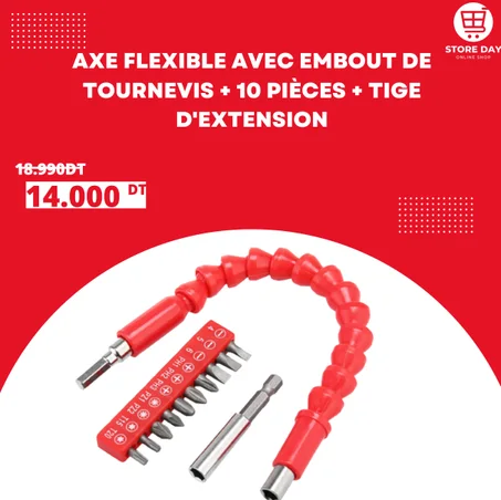 Axe flexible avec embout de tournevis + 10 pièces + Tige d'extension