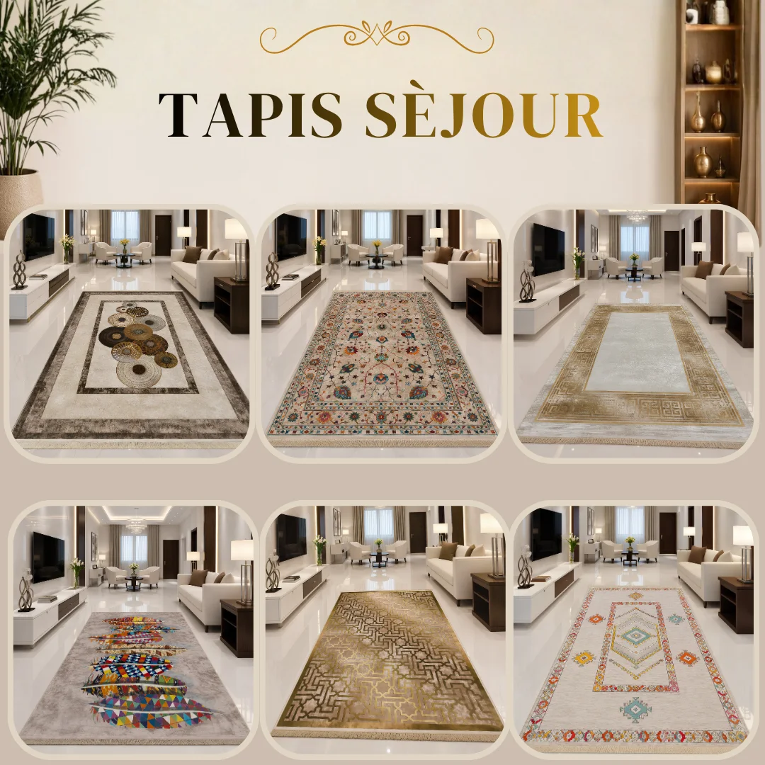 Tapis sejour 230/160