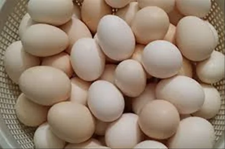 بيض بلدي