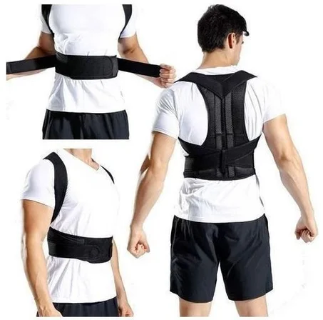 Back support belt