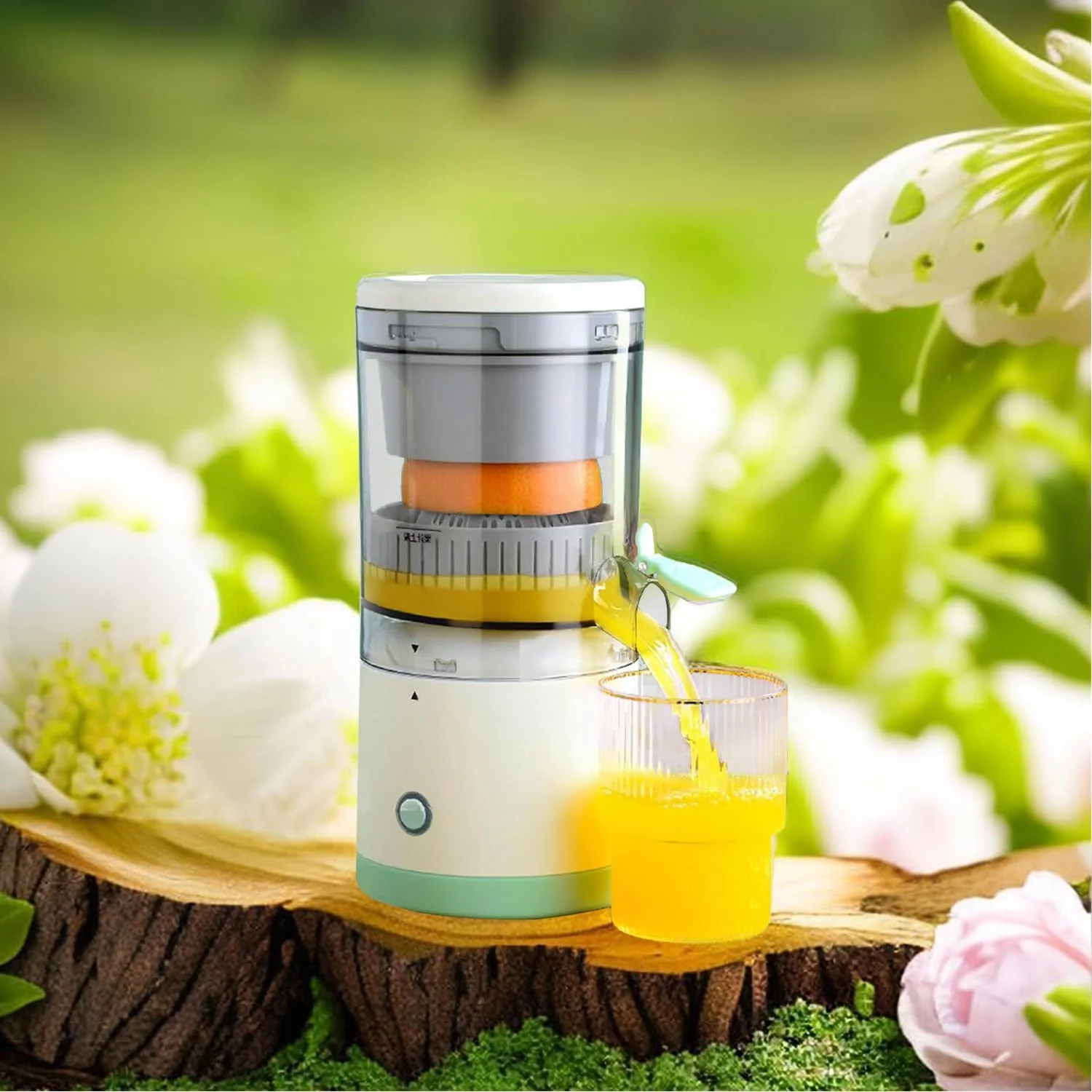 Multi functional electric juicer