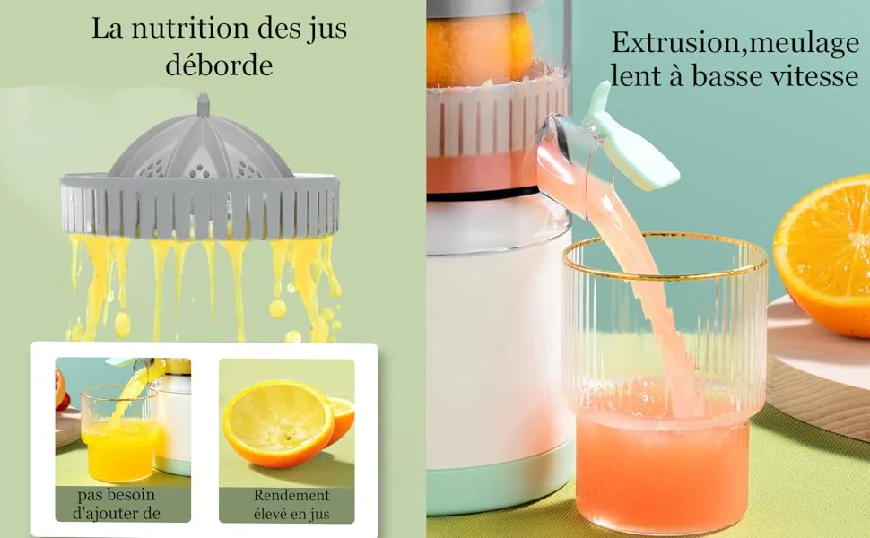 Multi functional electric juicer