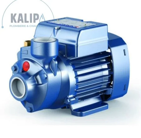 POMPE A EAU Pedrollo PKM 60