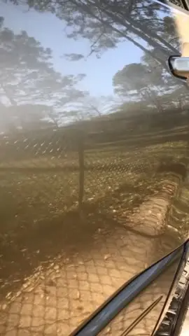 طلاء قوي سريع المفعول - صورة العميل من كودي واين