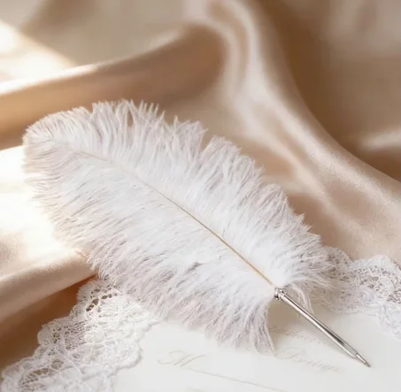 Pen feather silver