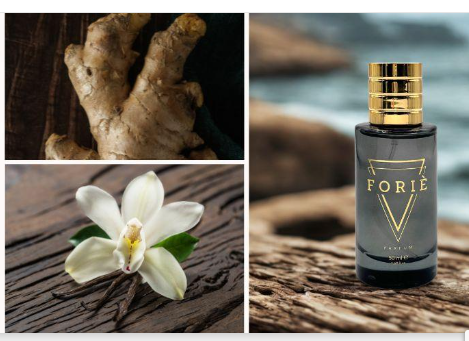 Inspiration VERSACE GINGIMBRE PETILLANT  Unisexe   - 50ml