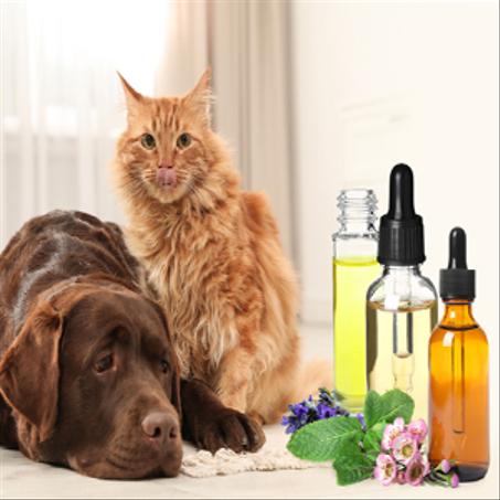 مكملات غذائية للحيوانات الأليفة