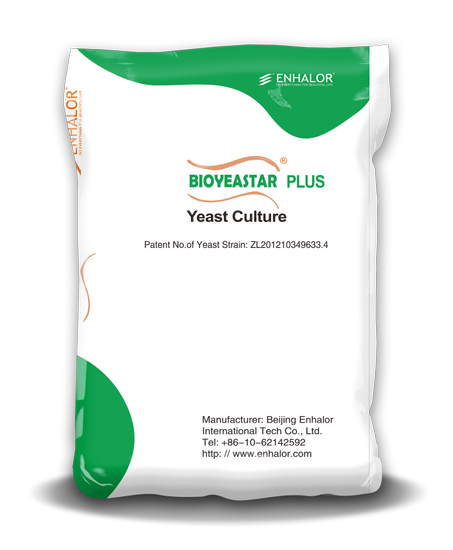 Bioyeastar 4C -  خميرة
