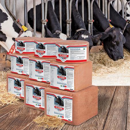 BETRA LVIV BLOCK - حجر ملح