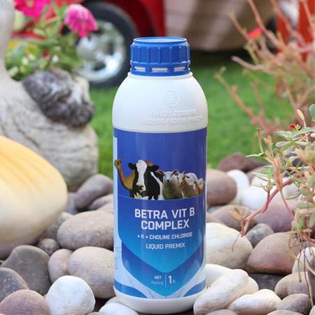 مجموعة فيتامينات (ب)  - vitamin B