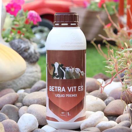 فيتامين (هـ) مع سيلينيوم  - vitamin E