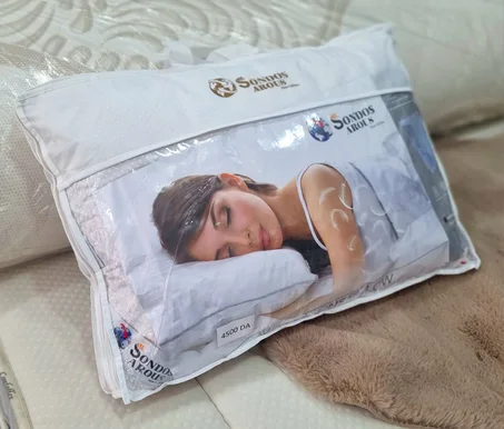 Oreiller Duvet d'oie ( Plumes )