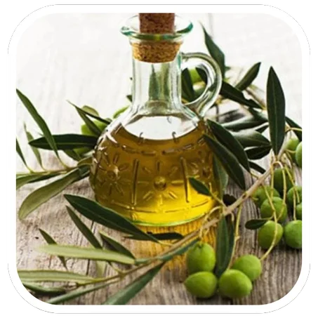 زيت الزيتون