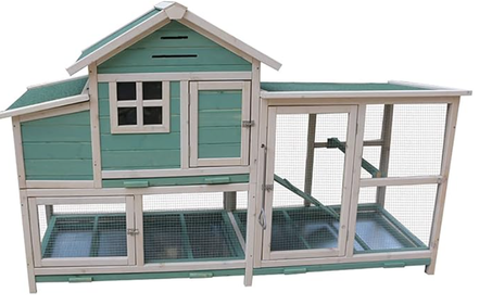 تربية الدواجن