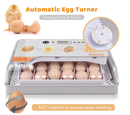 حاضنة بيض دواجن رقمية 20 بيضة شاشة من بيبيبسكي، وإضاءة ليد للتحكم بدرجة الحرارة والرطوبة ومنبه للدواجن والبط والطيور