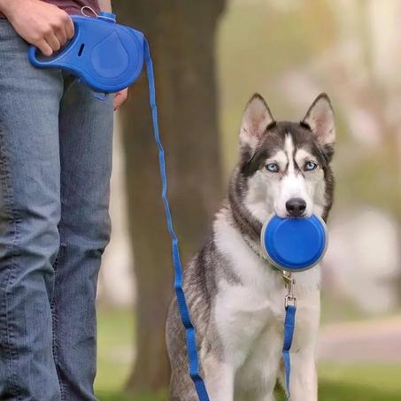5 en 1 Laisse multifonction pour chien