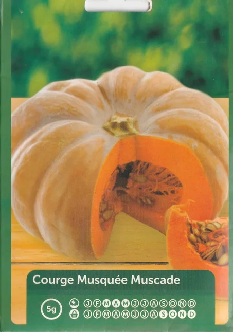 grains de legumes courge musqée livraison gratuite partout au maroc + paiment a la livraison
