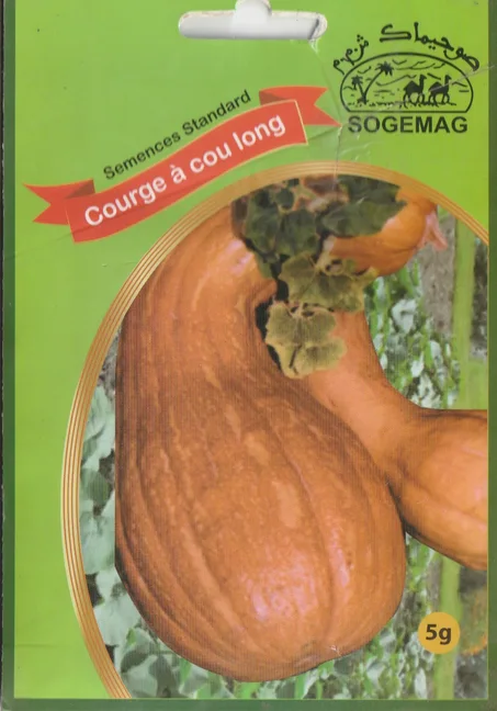 grains de legume courge a cou long livraison gratuite partout au maroc + paiment a la livraison