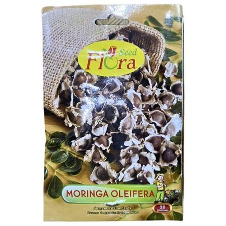 Graines de Moringa Oleifera 20 semences
