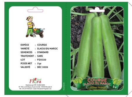 Graines de Courge Slaoui g