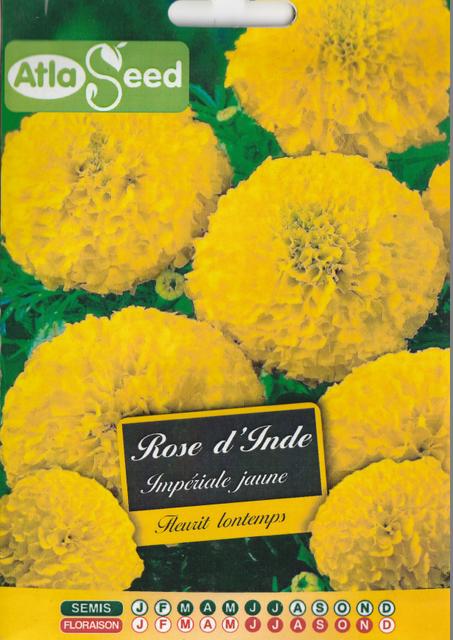 grains de fleures rose d inde livraison gratuite partout au maroc + paiment a la livraison