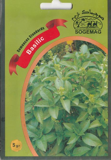 grains de legumes basilic livraison gratuite partout au maroc + paiment a la livraison