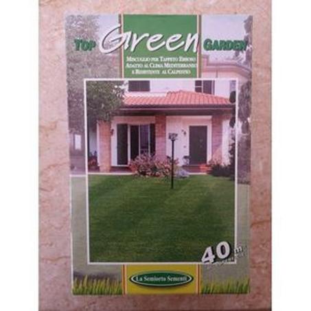 1 kg de grains de gazon 40 metres livraison gratuite sur tout le maroc + paiment a la livraison .. (copy)