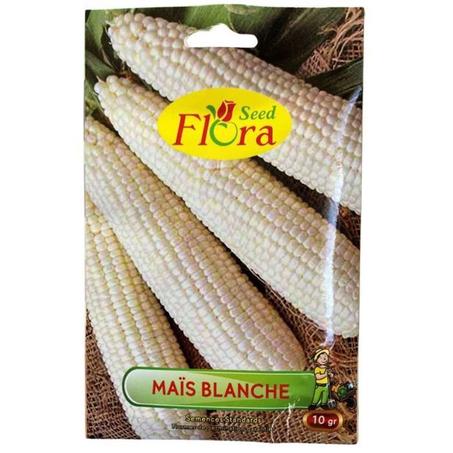 Graines de Maïs blanche 10g