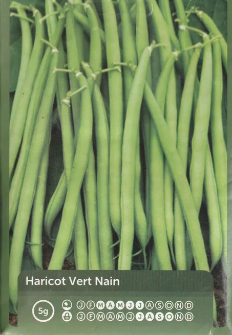 grains de legume haricot vert paiment a la livraison + livraison gratuite partout au maroc .