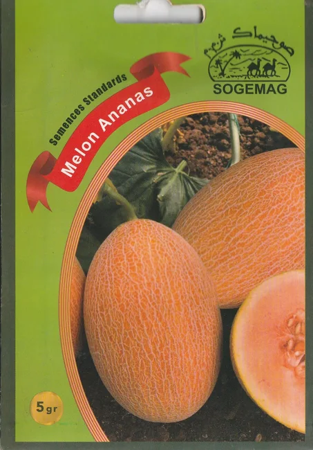 grains de fruit melon ananas paiment a la livraison + livraison gratuite partout au maroc