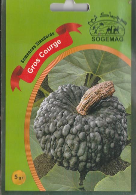 grains de legume gros courge livraison gratuite partout au maroc + paiment a la livraison.