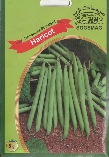 grains de legume haricot vert paiment a la livraison + livraison gratuite partout au maroc