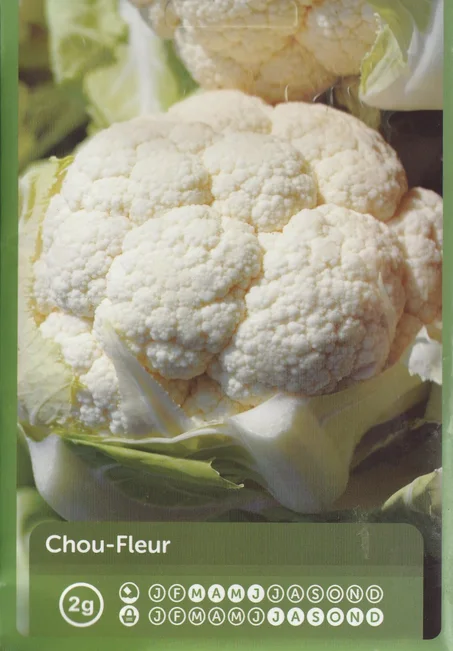 grains de legume chou - fleur boule de neige poooour plantation livraison gratuite dans tout le maroc + paiment a la livraison