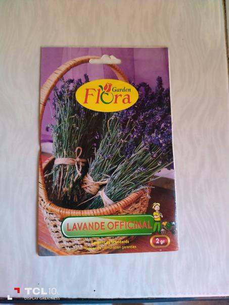 grains de  Lavande Officinale