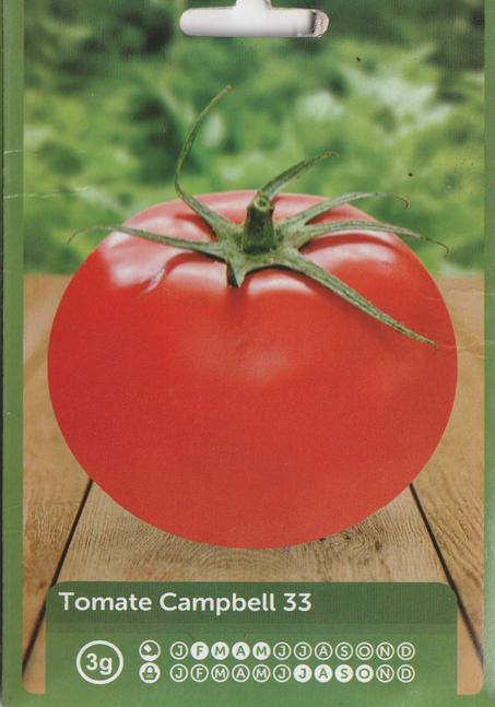 grains de legume tomate campelle33 pour plantation livraison gratuite dans tout le maroc + paiment a la livraison