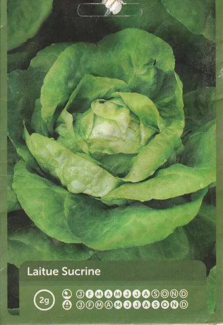 grains de legumes laitue sucrine livraisons gratuite partout au maroc + paiment a la livraison